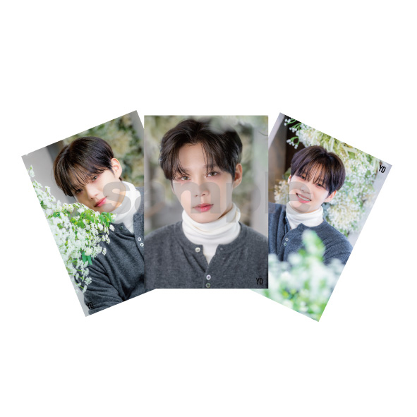 “YD「花びら」”ブロマイド(ランダム2枚組)