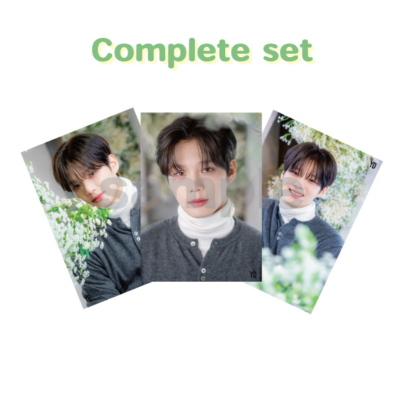 “YD「花びら」”ブロマイド(コンプリートセット)